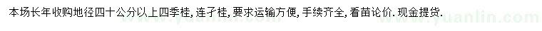 求购地径40公分以上四季桂、连子桂