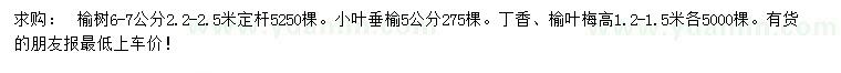 求购榆树、小叶垂榆、丁香等