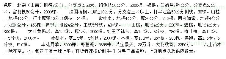 求购北栾、白蜡、法国梧桐等