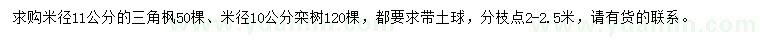 求购米径11公分的三角枫、米径10公分栾树