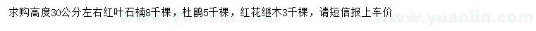 求购红叶石楠、杜鹃、红花继木