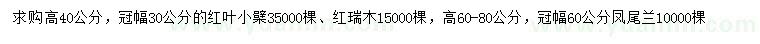 求购红叶小檗、红瑞木、凤尾兰