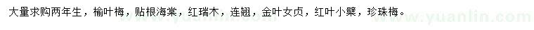 求购榆叶梅、贴根海棠、红瑞木