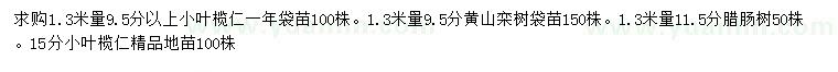 求购小叶榄仁、黄山栾树、腊肠树