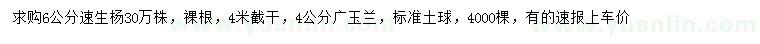 求购6公分速生杨、4公分广玉兰