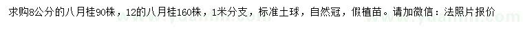 求购米径8、12公分八月桂