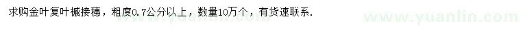 求购粗度0.7公分以上金叶复叶槭接穗