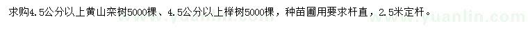 求购4.5公分以上黄山栾树、榉树