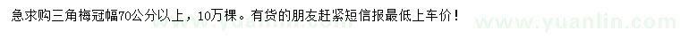 求购冠幅70公分以上三角梅