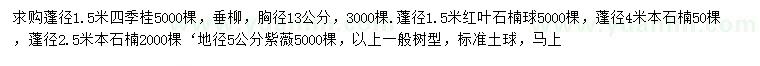 求购四季桂、垂柳、红叶石楠球等