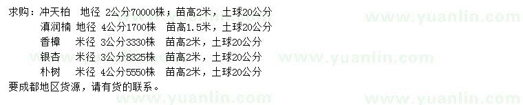 求购冲天柏、滇润楠、香樟等