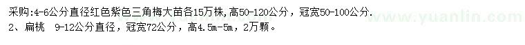 求购4-6公分三角梅、9-12公分扁桃