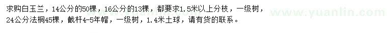 求购14、16公分白玉兰、24公分法桐