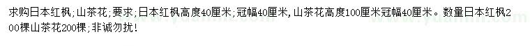 求购高40公分日本红枫、100公分山茶花