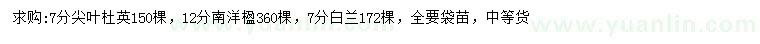 求购尖叶杜英、南洋楹、白兰