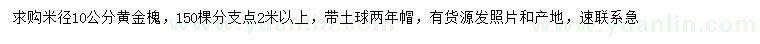 求购米径10公分黄金槐