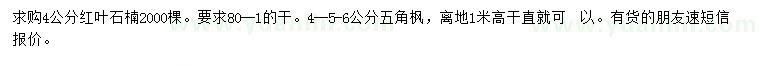 求购4公分红叶石楠、4、5、6公分五角枫