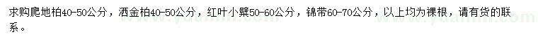 求购爬地柏、洒金柏、红叶小糪等