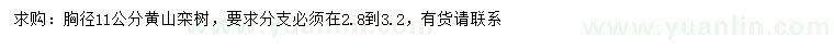 求购胸径11公分黄山栾树