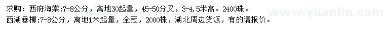 求购7-8公分西府海棠、西湖垂柳