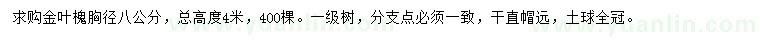 求购胸径8公分金叶槐