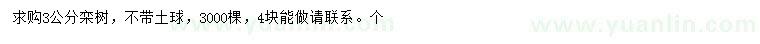 求购3公分栾树