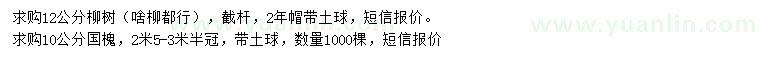 求购12公分柳树、10公分国槐