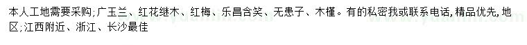 求购广玉兰、红花继木、红梅等