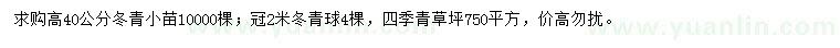 求购冬青小苗、冬青球、四季青草坪