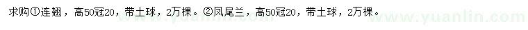 求购高50公分连翘、凤尾兰