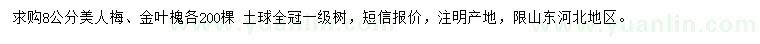 求购8公分美人梅、金叶槐