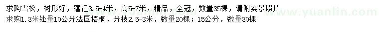 求购高5-7米雪松、1.3米量10公分法国梧桐