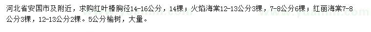 求购红叶椿、火焰海棠、红丽海棠等