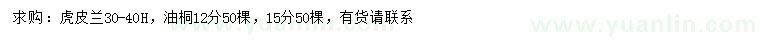 求购高30-40公分虎皮兰、12、15公分油桐