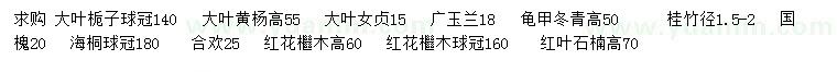 求购大叶栀子球、大叶黄杨、大叶女贞等