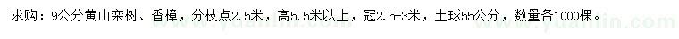 求购9公分黄山栾树、香樟