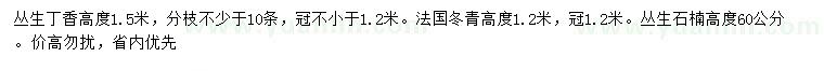 求购丁香、法国冬青、石楠