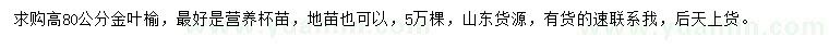 求购高80公分金叶榆