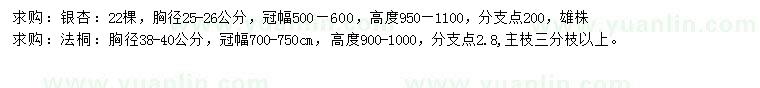 求购胸径25-26公分银杏、胸径38-40公分法桐