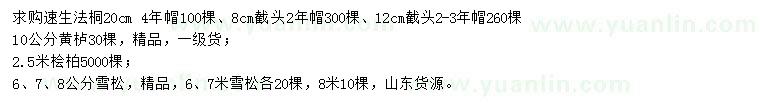 求购速生法桐、黄栌、桧柏等