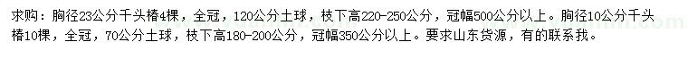 求购胸径10、23公分千头椿