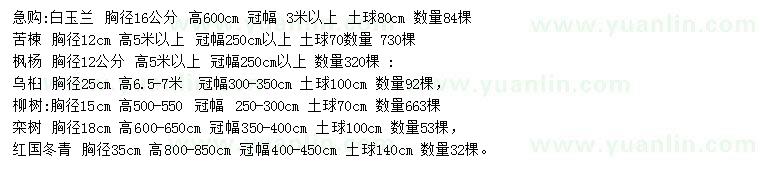 求购白玉兰、苦楝、枫杨等