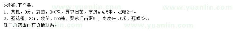 求购8公分黄槐、蓝花楹