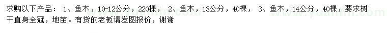 求购10-12、13、14公分鱼木