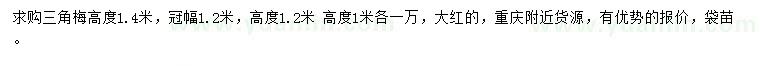 求购高度1.2、1.4米三角梅