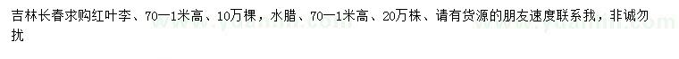 求购高0.7-1米红叶李、水腊