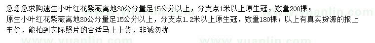 求购30公分量足15公分以上小叶红花紫薇