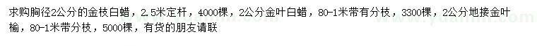 求购金枝白蜡、金叶白蜡、金叶榆