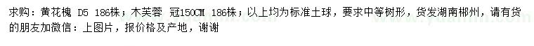求购地径5公分黄花槐、冠幅150公分木芙蓉