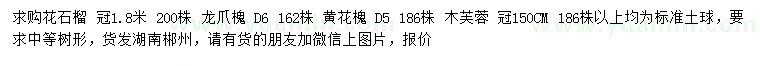 求购花石榴、龙爪槐、黄花槐等